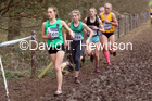 Womens under-17s, 2020 British Athletics Inter Counties Cross Country Champs., Prestwold Hall, Loughborough. Photo: David T. Hewitson/Sports for All Pics